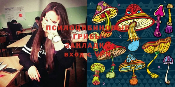 спиды Алзамай