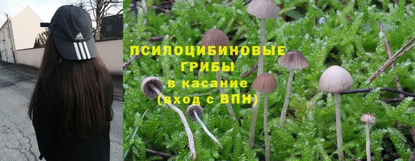 MDMA Premium VHQ Алексеевка
